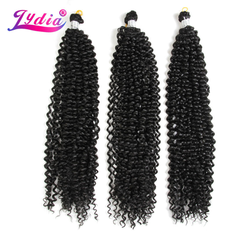 Lydia Freetress Synthetic Water Wave 28" 3Pieces/lot Nature Color Hair Extensions Bulk Crochet Latch Hook Braiding Hair